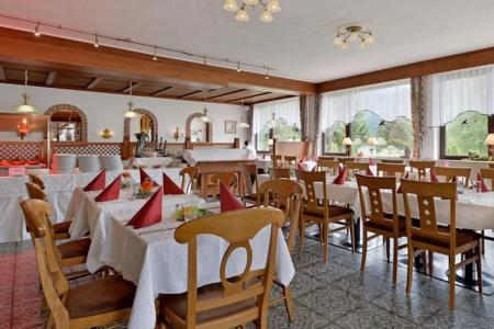 Hotel Alpin Scheffau