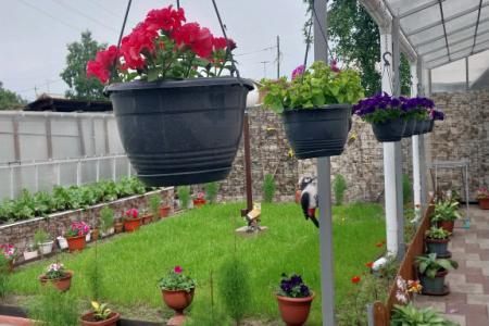 Отель Байкальская Жемчужинка