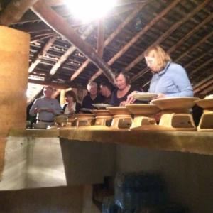 отель Rainforest Edge