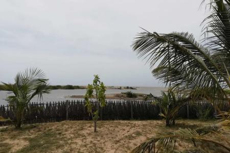 Отель dolphin wadiya в Калпития - Шри-Ланка