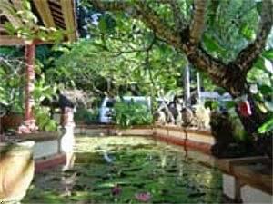 отель Grand Avenue Boutique Villas and Spa Villa