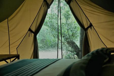 Отель Base Camp Wilpattu в Анурадхапура - Шри-Ланка