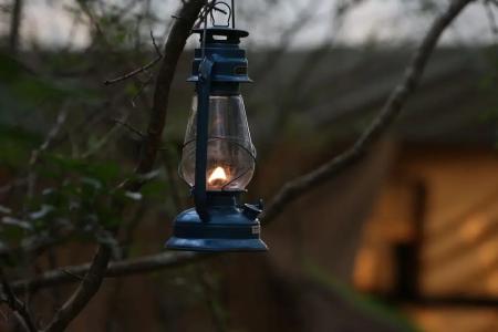 Отель Base Camp Wilpattu в Анурадхапура - Шри-Ланка