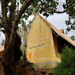 отель Turtle Paradise
