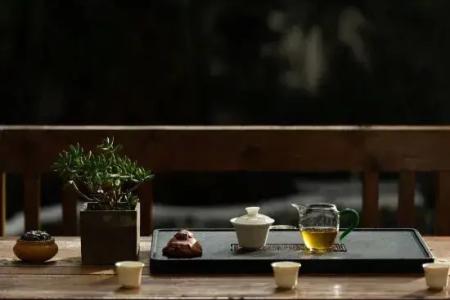 Lijiang Dog and Cat House