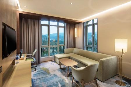 Отель Hilton Garden Inn Hangzhou Lu'niao в Ханчжоу - Китай