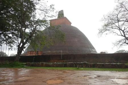Отель Hangout Habarana в Хабарана - Шри-Ланка