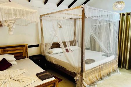 Отель Central Beach Inn в Мирисса - Шри-Ланка