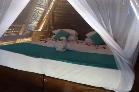 Отель Elements Beach & Nature Resort в Калпития - Шри-Ланка