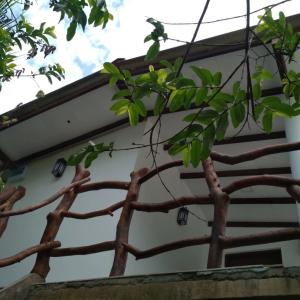 отель Sigiriya Danu homestay