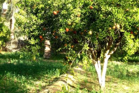 Hebergement Proche de Desert a Douz