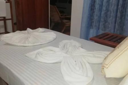 Отель SSC VIlla в Полоннарува - Шри-Ланка