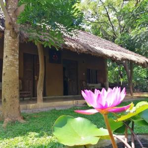 отель Ama Villa Homestay