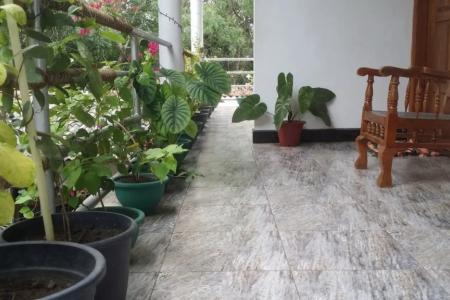 Отель Rich Resort & Restaurant в Анурадхапура - Шри-Ланка