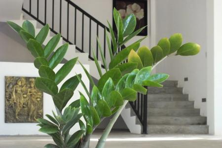 Отель Amelia Resort в Сигирия - Шри-Ланка