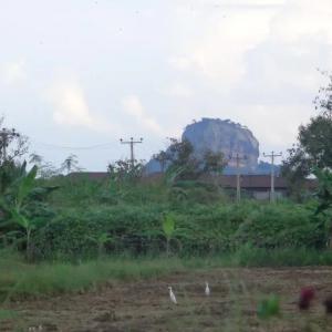 отель Sigiriya vista