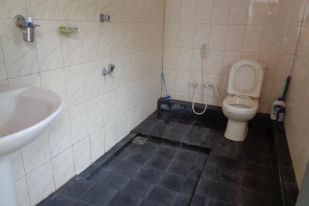 Отель Green Villa Homestay в Анурадхапура - Шри-Ланка