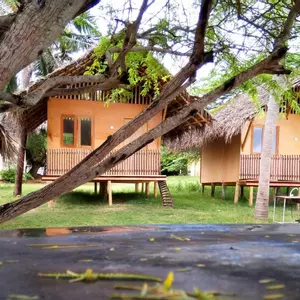 отель Отель Yala Waves Beach  Resort