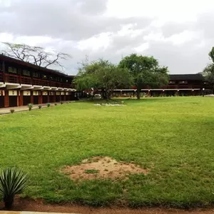 отель Seronera Wildlife Lodge