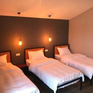 отель Отель Chemodann Kazbegi