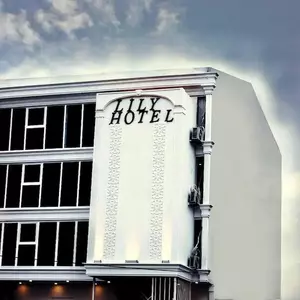 отель Lily Airport Otel