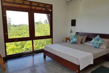 Bobos Cinnamon Estate  Sri Lanka