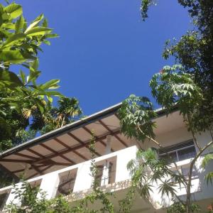 отель toropi homestay