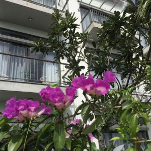 отель Hoian Tranquil Lodge - Chon Binh Yen