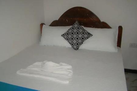 Отель Monkey Garden Hotel в Полоннарува - Шри-Ланка