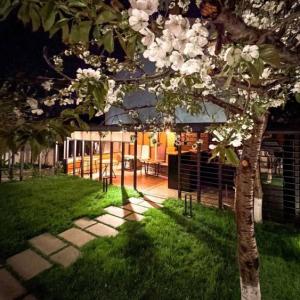 отель Отель Andor