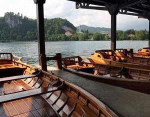 отель Grand Hotel Toplice