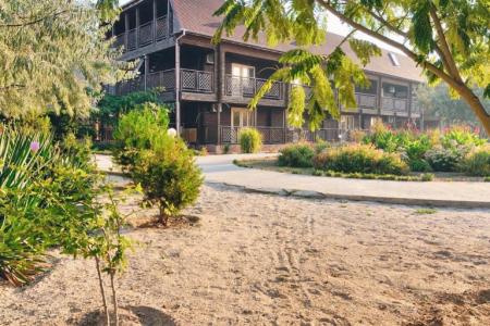 Терра Теана