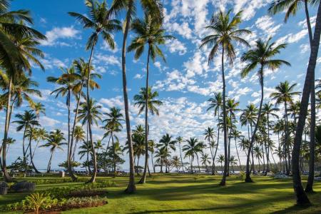 Grand Paradise Samana