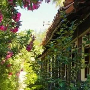 отель Dalyan Yunus Hotel