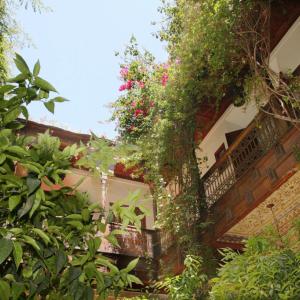 отель Riad Samsara