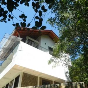 отель Birds Paradise Hotel