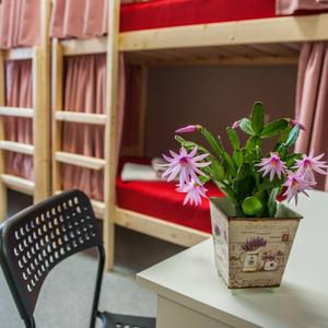 отель Rus-Novosibirsk Hostel