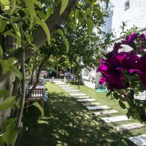 отель Alacat? 716 Hotel