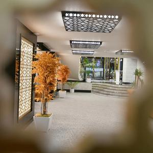 отель Sveo Business Hotel