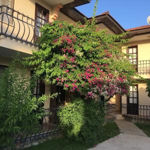 отель Gorkem Apart Hotel