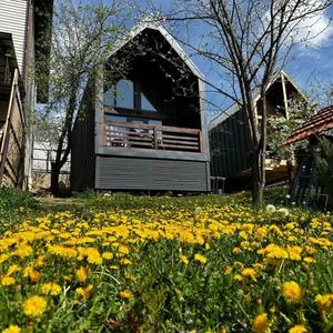 отель Mezmay Guest House