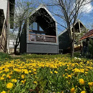 отель Mezmay Guest House