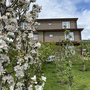 отель Mountain View Villa