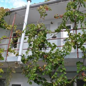 отель Na Kolkhoznoy Guest House