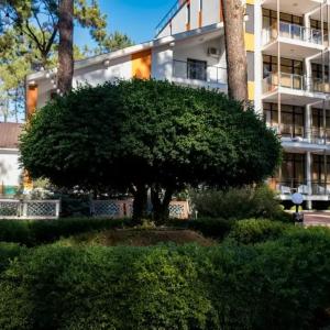 отель Buxus Hotel Shekvetili