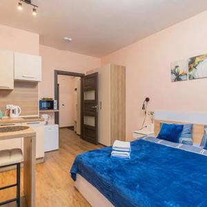 отель Apartment SalutApart 17
