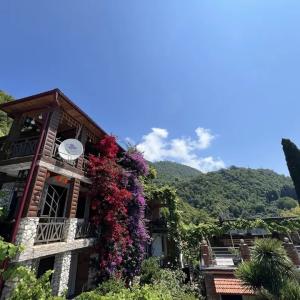 отель El Platano Guest House