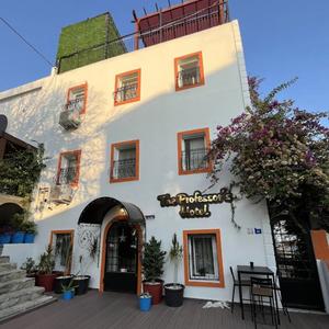 отель The Professor's Hotel