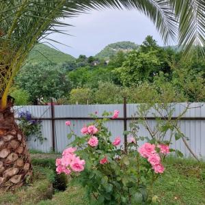 отель Gostevoy Dom Na Topchyan 17 Guest House