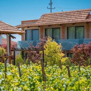 отель Giuaani Winery